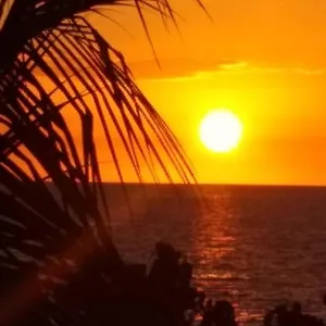 https://blue-dolphin-guest-house.comcaribbean.com